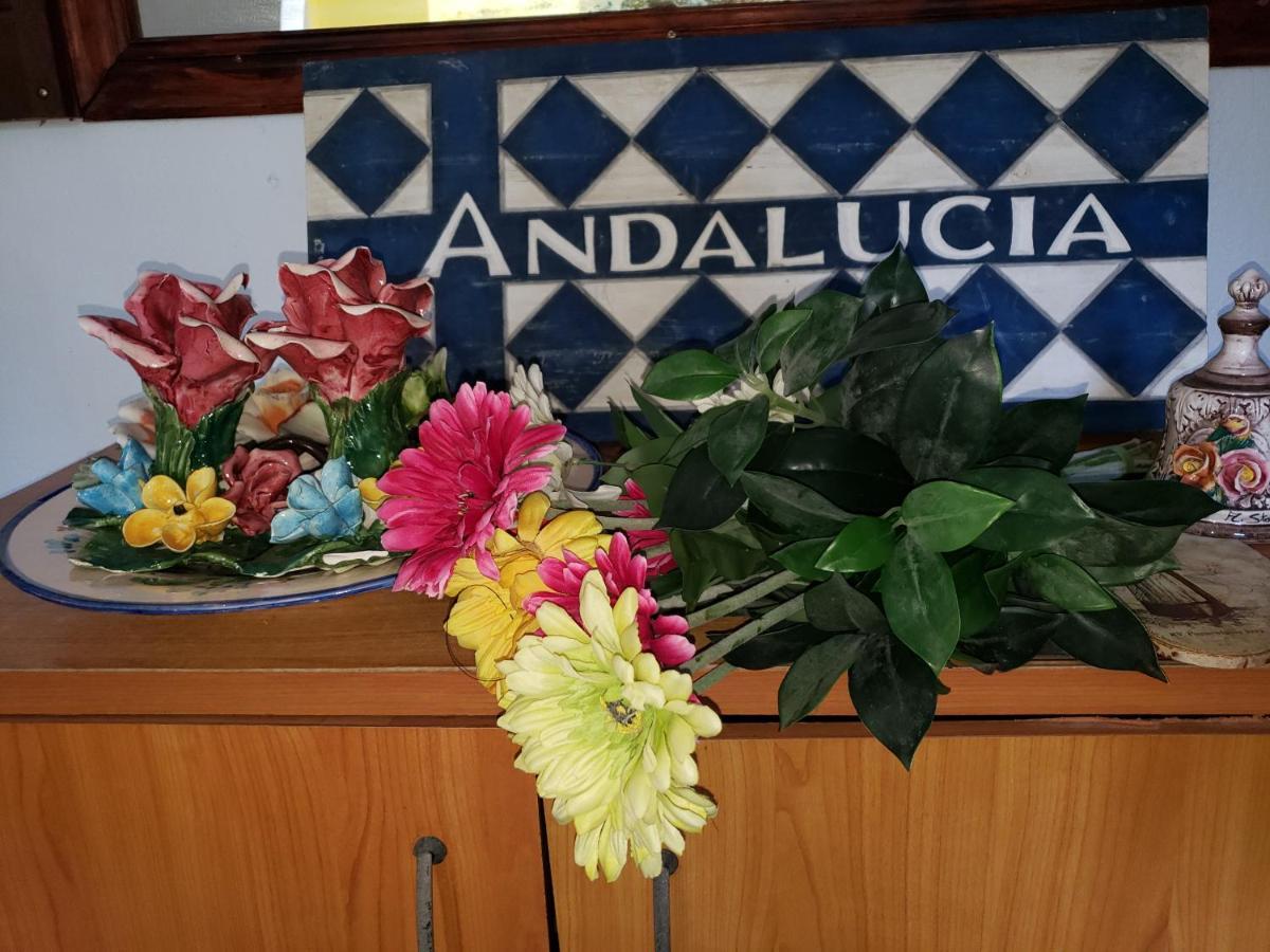 Andalucia Guest House San Juan Exterior foto