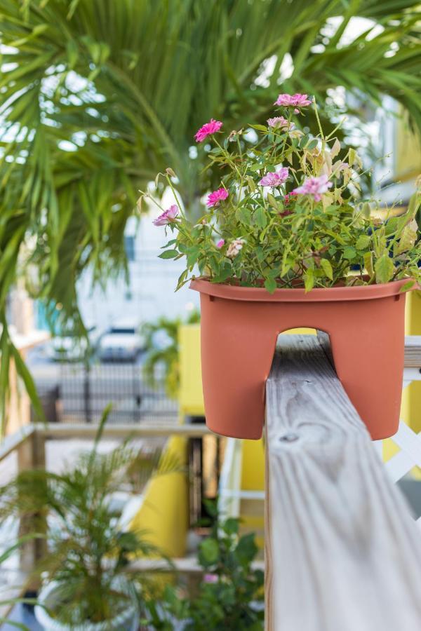 Andalucia Guest House San Juan Exterior foto
