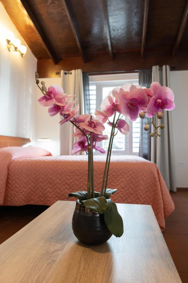 Andalucia Guest House San Juan Exterior foto