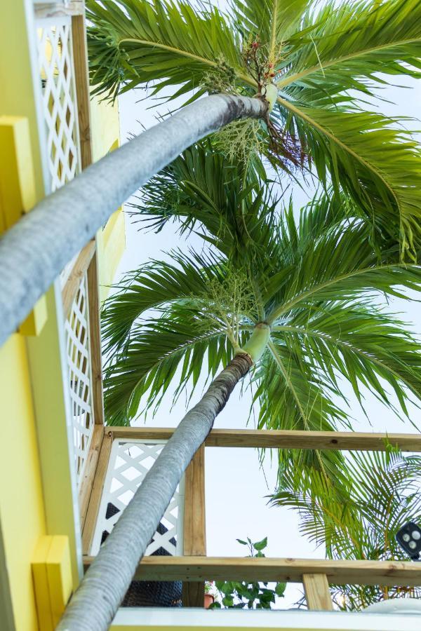 Andalucia Guest House San Juan Exterior foto
